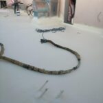 5a2266e8-8517-4bfb-a987-d56357c3a132